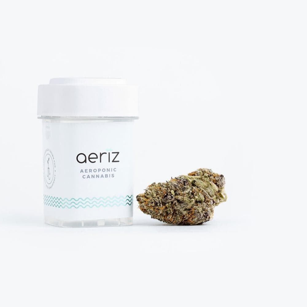 30% OFF Aeriz, UpNorth, Daze Off & 93 Boyz